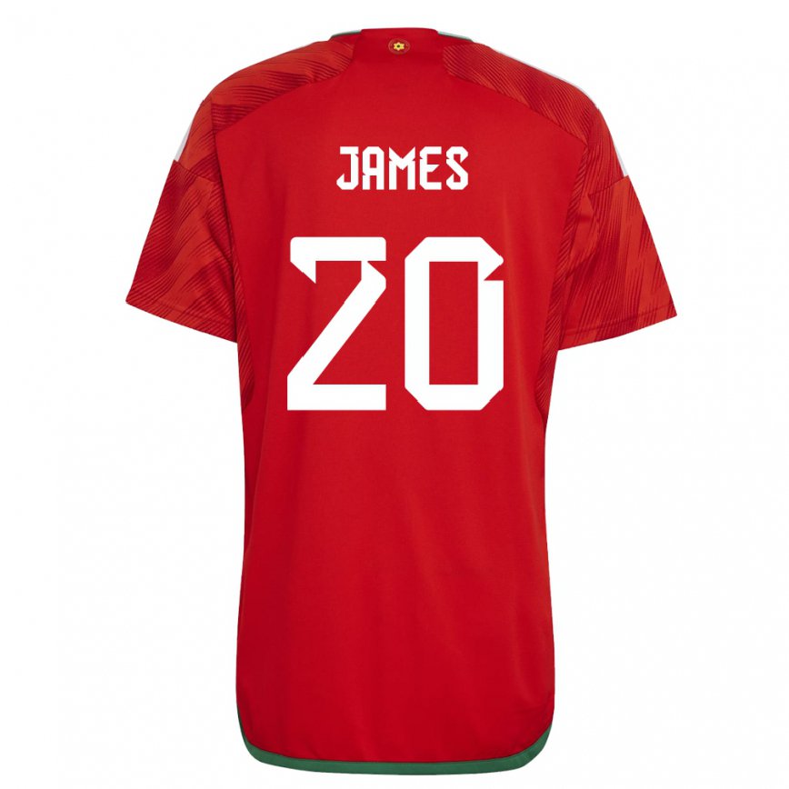 Hombre Camiseta Gales Daniel James #20 Rojo 1ª Equipación 22-24