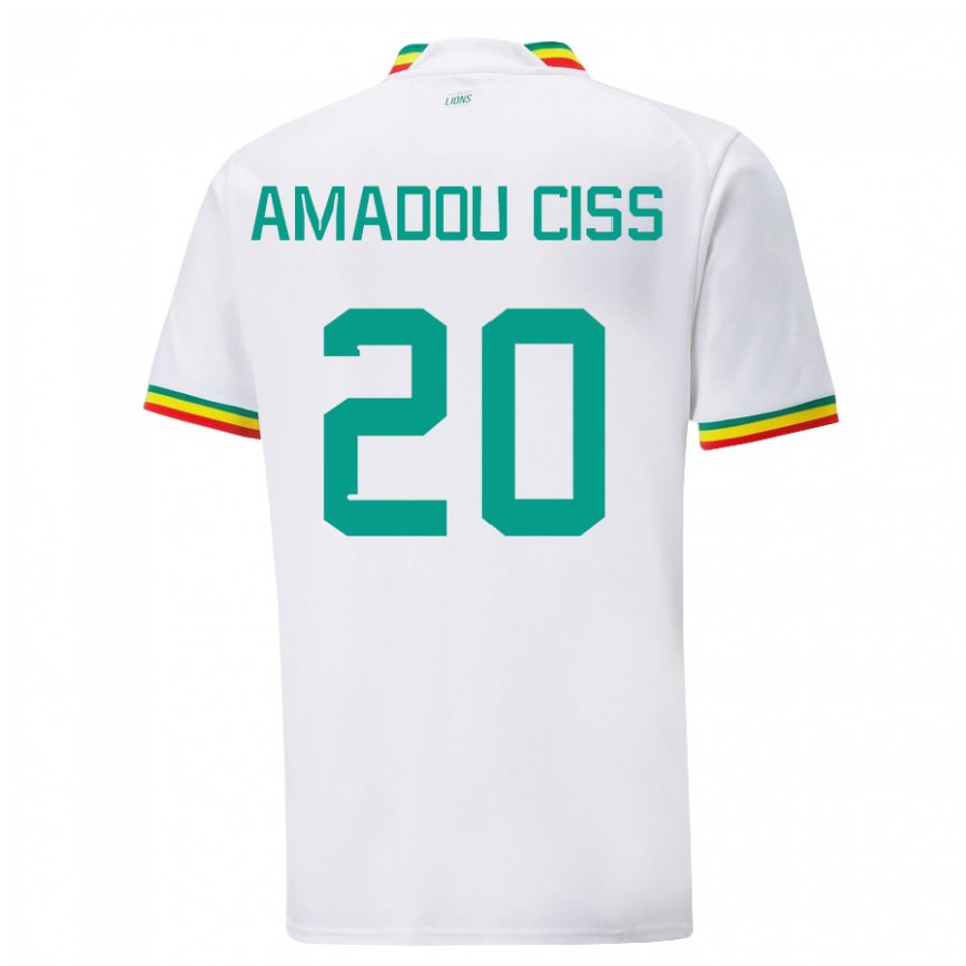 Hombre Camiseta Senegal Amadou Ciss #20 Blanco 1ª Equipación 22-24