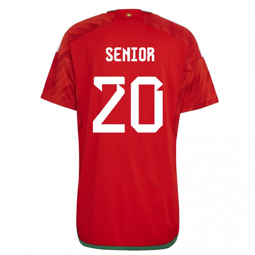 Hombre Camiseta Gales Matt Senior #20 Rojo 1ª Equipación 22-24